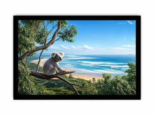 coastal dream koala ont625