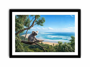 coastal dream koala ont625