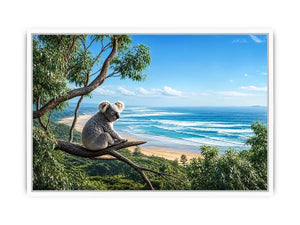coastal dream koala ont625
