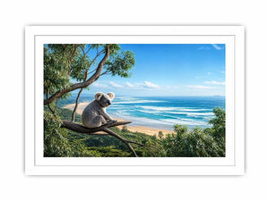 coastal dream koala ont625