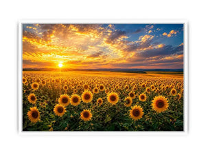 sunflower horizon canvas art