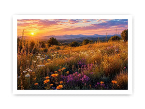 Image Alt Text