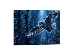 misty owl canvas art bedroom