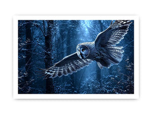 misty owl canvas art bedroom