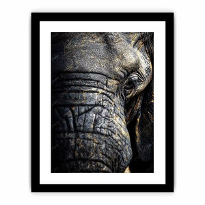 elephant portrait gold canvas art