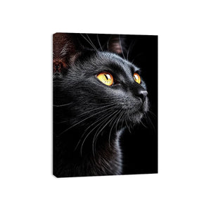 black cat portrait modern canvas print