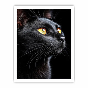 black cat portrait modern canvas print