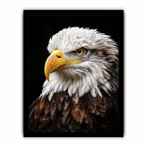 bald eagle office canvas art
