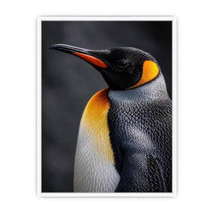king penguin portrait canvas print bedroom