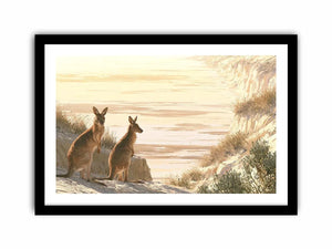 coastal kangaroo wildlife canvas beach house