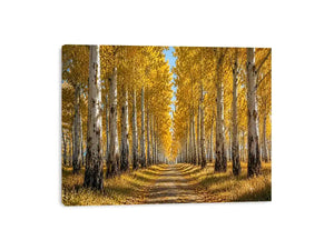 golden forest canvas print hallway decor