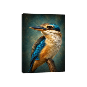 kingfisher bird canvas print modern decor