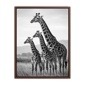 black white giraffe family canvas