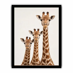 giraffe trio nursery canvas