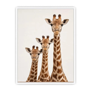 giraffe trio nursery canvas