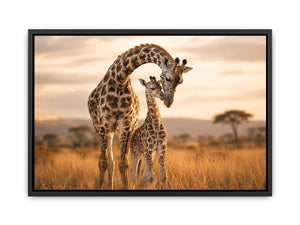 giraffe mother calf canvas