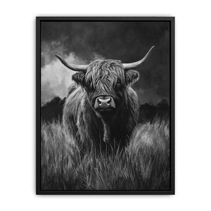 Highlind Cow In Black And White Canvas Painting