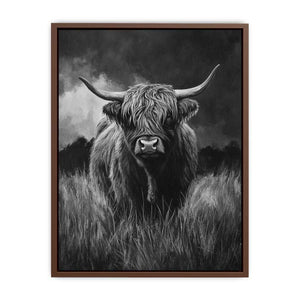 Highlind Cow In Black And White Canvas Painting