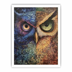Two Tone Owl Canvas Painting