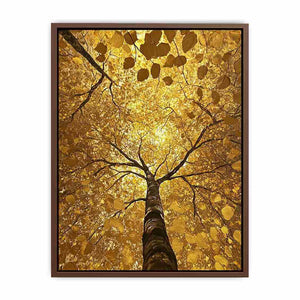 Looking Up Canvas Painting