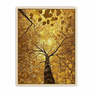 Looking Up Canvas Painting