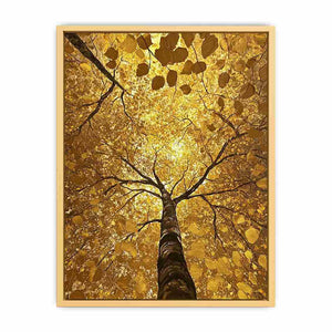 Looking Up Canvas Painting