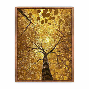 Looking Up Canvas Painting