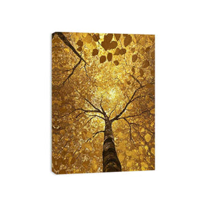 Looking Up Canvas Painting