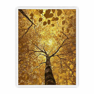 Looking Up Canvas Painting