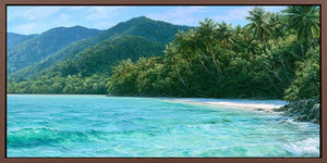Cape Tribulation Panorama Canvas Print