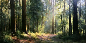 Australain Bush Forest Panoramic painting