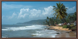 Palm Coast Calm Panoramic Canvas Print