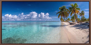 Crystal Palm Shore Panoramic Canvas Print