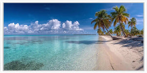 Crystal Palm Shore Panoramic Canvas Print