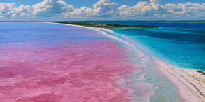 Lake Hillier Pink Lake Panorama Wall Art