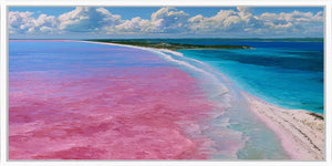 Lake Hillier Pink Lake Panorama Wall Art