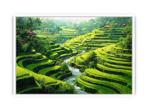 Rice Terrace paddy bali Framed Print
