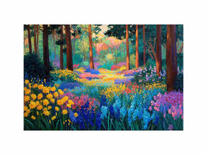 Wild flowers in Full Bloom