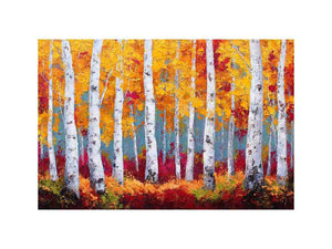 Birchtrees in autumn