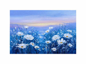 Blue Feild of Dasies