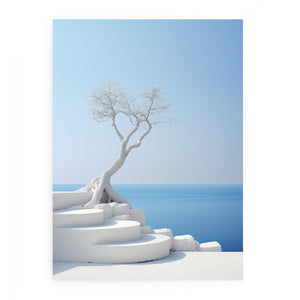 White Steps