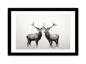 Framed Print