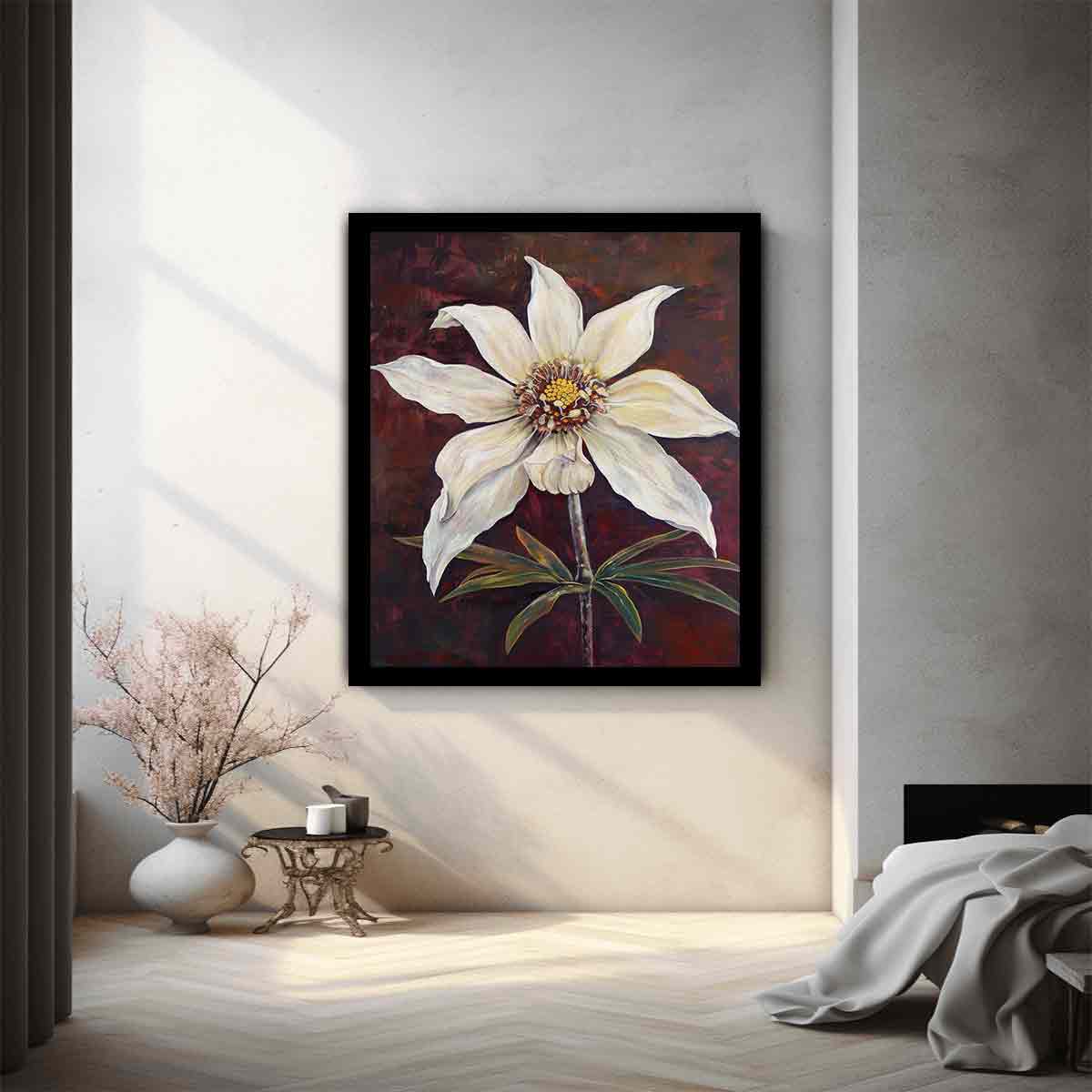 Flannel Flower