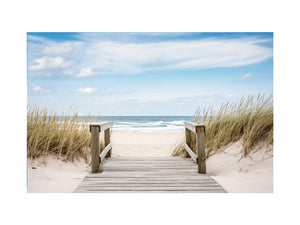 Seaside Pathway Breeze