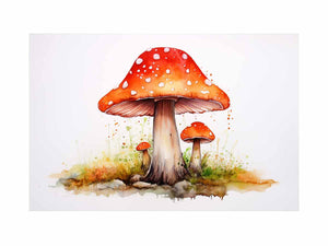 Mushroom