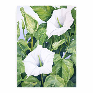 Jimson Weed