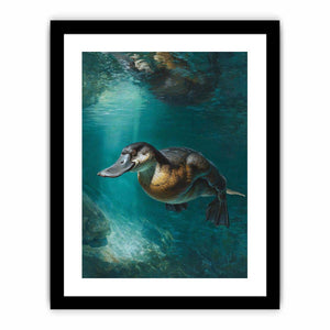 Framed Print