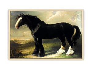 Old English Black Horse Art Print