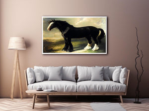 Old English Black Horse by WILLIAM SHIELS Painting