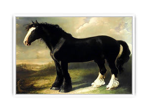 Old English Black Horse Framed Print